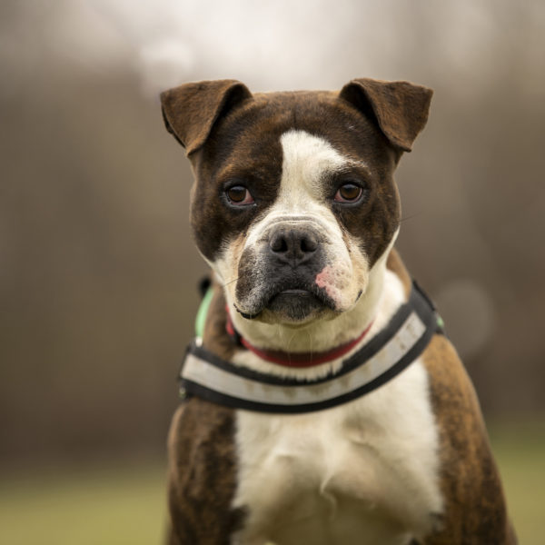 DSC04165_k DSC04165_k