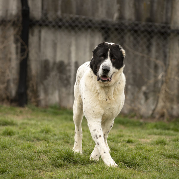 DSC04536_k DSC04536_k