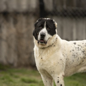 DSC04540_k DSC04540_k