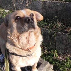 Gülüke_2021.03.05.