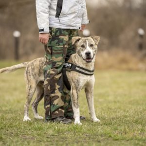 Marley21_0 Marley21_0