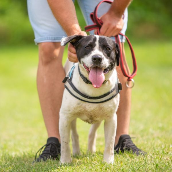 Sparko12_0 Sparko12_0