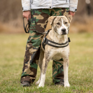 borito-marley borito-marley