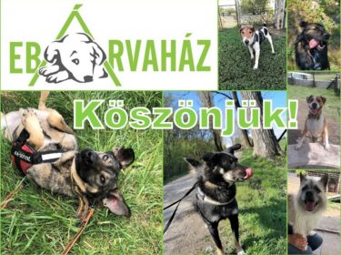 Köszönjük_2021.05_2.0