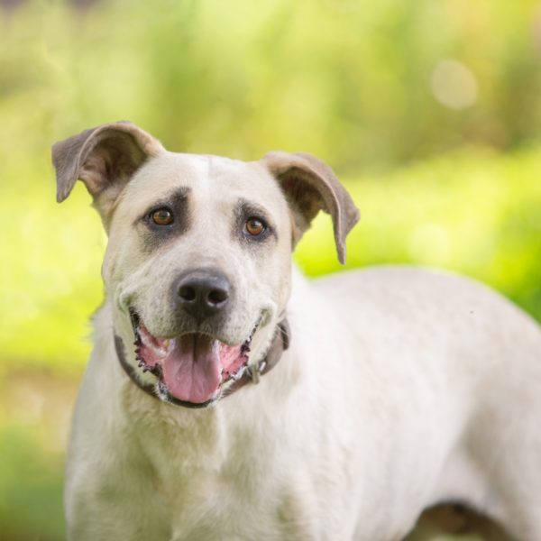 Honney16_0 Honney16_0