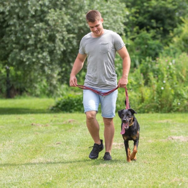 Pollux12_0 Pollux12_0