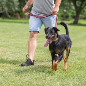 Pollux14_0 Pollux14_0