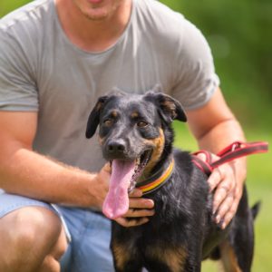 Pollux22_0 Pollux22_0