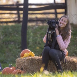 Panni3 (2) Panni3 (2)