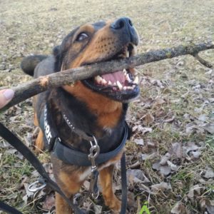 275229863_2153852351434973_1063441027240323888_n