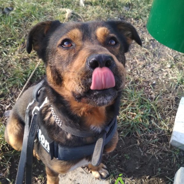 275300378_2153852364768305_4610079401354632034_n