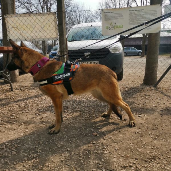 275722713_494886355676566_2144771009981938741_n