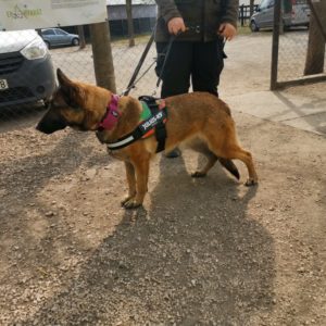 275808115_545933853410472_131692664403968786_n