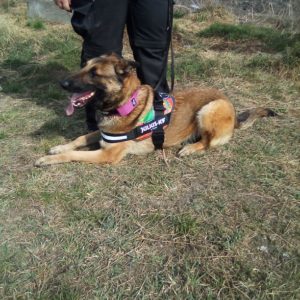 275834318_254771166868312_6391170430529681264_n