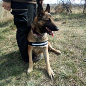 275987243_386186579628287_1418190118663496827_n