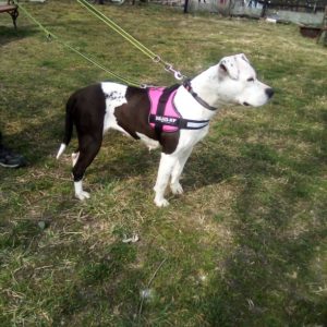 276000117_514883096867742_3473519892735483958_n