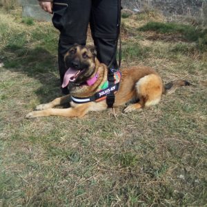 276027167_299305842346154_7750783705537398905_n