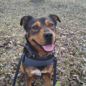 276047067_2153852341434974_1071198709462262073_n