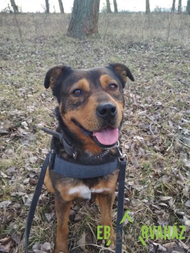 276047067_2153852341434974_1071198709462262073_n