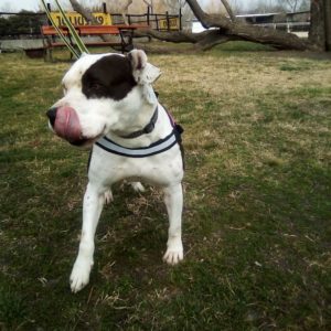 276061500_1600658760304342_6270323045940252695_n