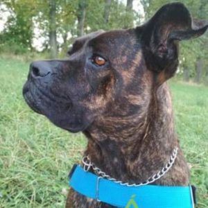 274329821_2131319787021563_9092237633220812456_n 274329821_2131319787021563_9092237633220812456_n