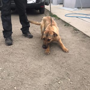 277523287_2162534923900049_8478626978672102582_n