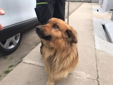 277562825_2162534690566739_9028523547746539790_n