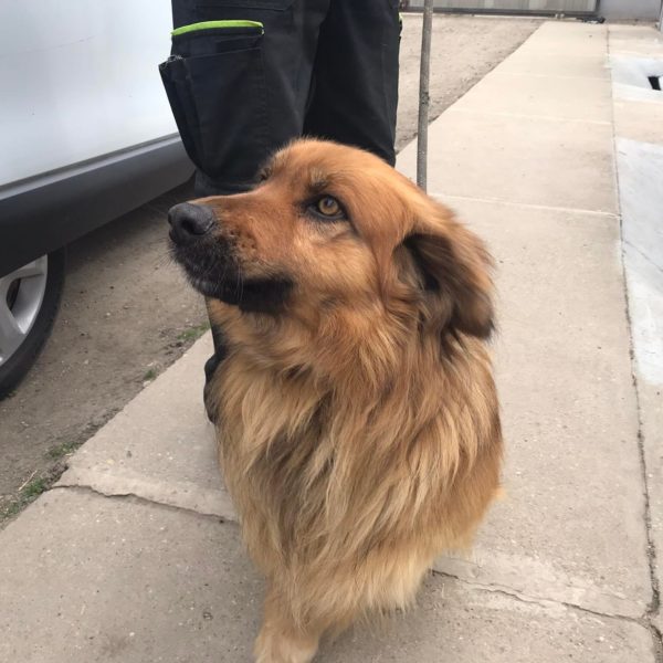 277562825_2162534690566739_9028523547746539790_n