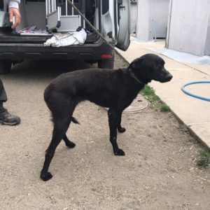 277568711_2162534963900045_8965241749389229812_n