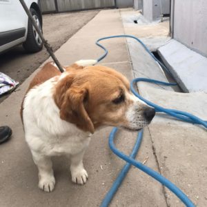 277576845_2162534853900056_444322560104642891_n