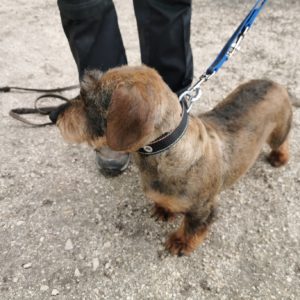 277749667_2165512736935601_5958307943887555558_n 277749667_2165512736935601_5958307943887555558_n