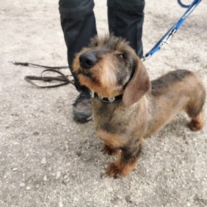 277758248_2165512790268929_6502448826710540990_n 277758248_2165512790268929_6502448826710540990_n