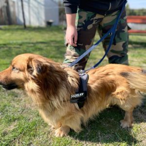 277788065_2166862190133989_1353057474021349627_n