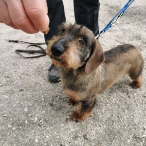 277790475_2165512913602250_5740194731683535421_n 277790475_2165512913602250_5740194731683535421_n