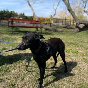 277792388_2166874473466094_4671960051824081050_n 277792388_2166874473466094_4671960051824081050_n