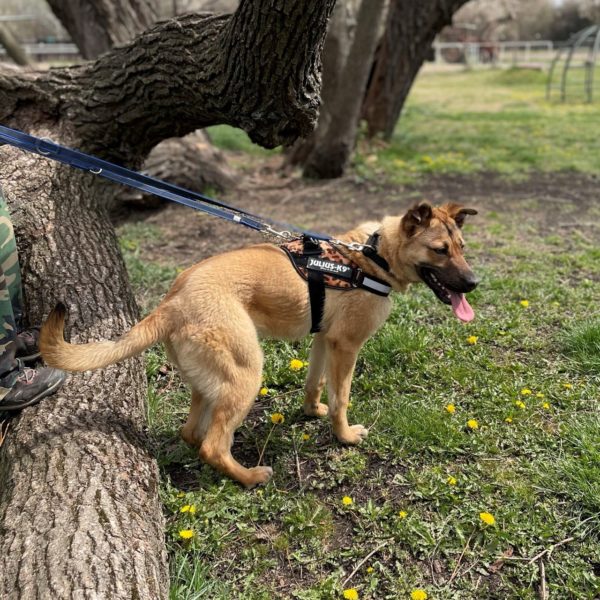 277793728_2166965223457019_519776984349387551_n