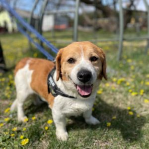 277797763_2166924196794455_6039252392479126568_n 277797763_2166924196794455_6039252392479126568_n