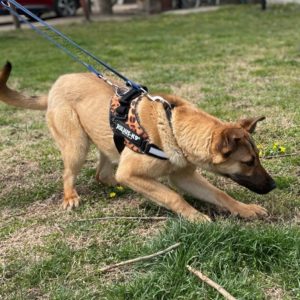 277801939_2166965583456983_3137711345856920141_n