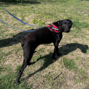 277816405_2166874436799431_3775233057448207107_n 277816405_2166874436799431_3775233057448207107_n