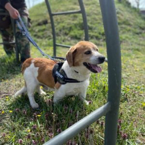 278040812_2166924413461100_92586838276301383_n