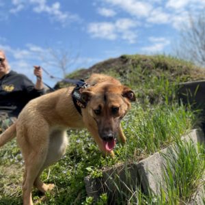 278043515_2166965340123674_1529361490634149065_n