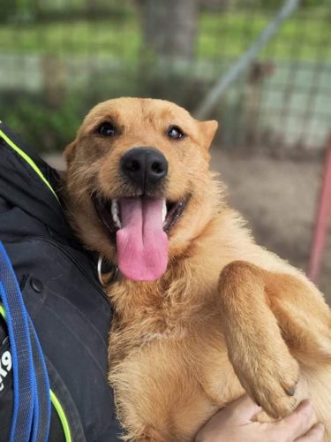 278944315_2179230475563827_1763065008768140697_n