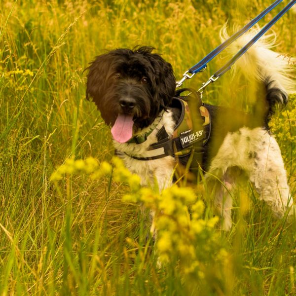 Zénó29_0 Zénó29_0