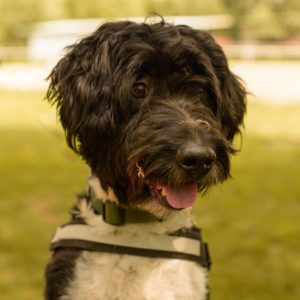 Zénó34_0 Zénó34_0