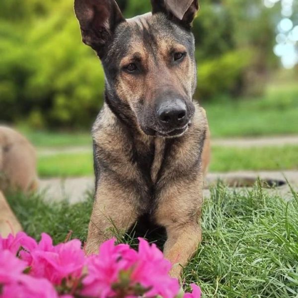 280649206_2197461730407368_5121527577967300426_n