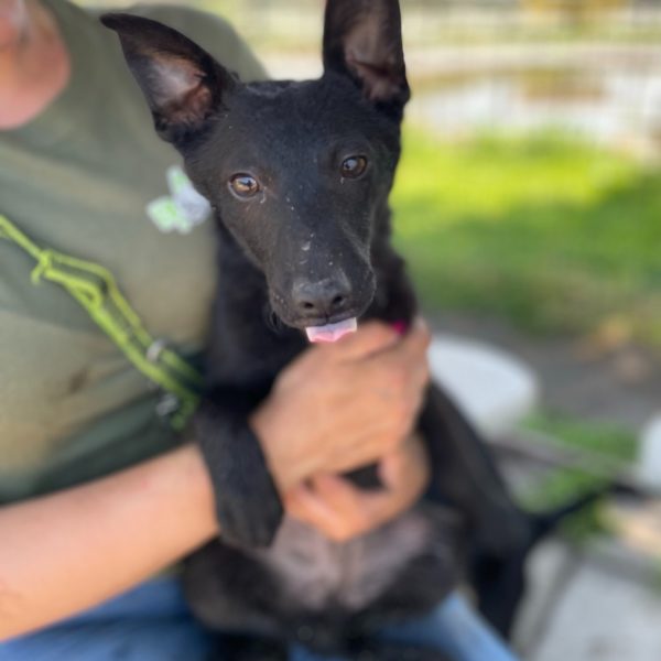 280707644_2198388540314687_2950869414239398423_n