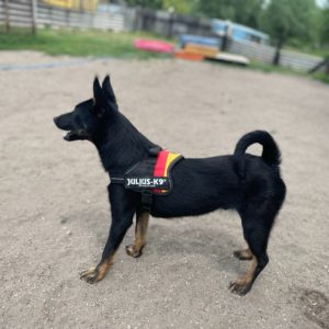 280766448_2198375943649280_3809282491346445459_n