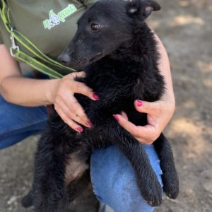 280948239_2198388520314689_8477740229631363947_n