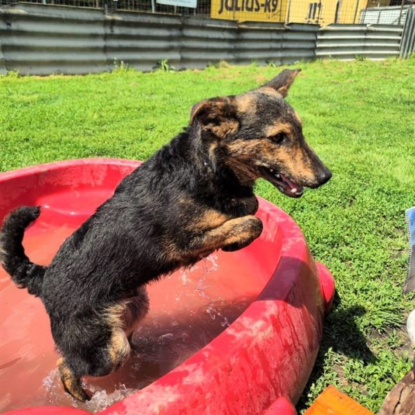 281552131_2198384653648409_103759762611578415_n