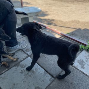 281566123_2198388806981327_8135655223832644105_n